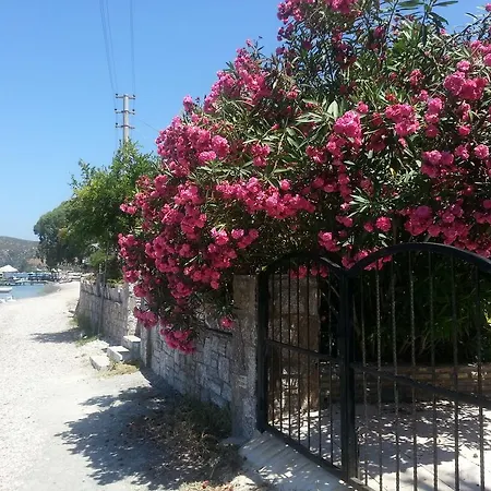 Apartment Gizem Asya *